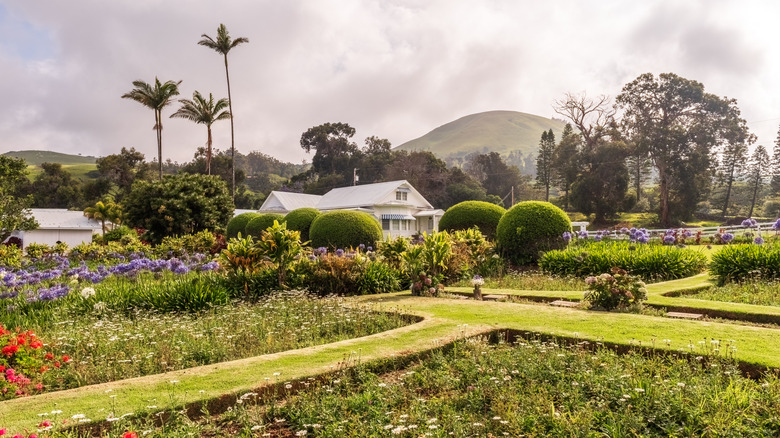 View of the historic Anna's Ranch in Waimea on the Big Island of Hawaii, surrounded by green landscaping and palms