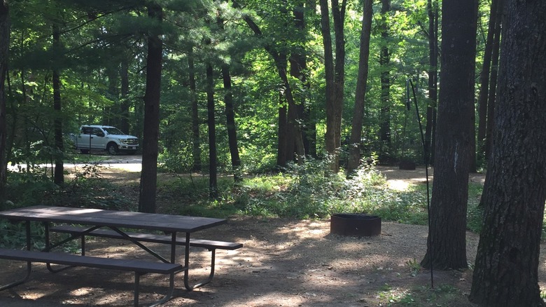 Picnic table and fire pit among the trees at a campsite at Rocky Arbor State Park