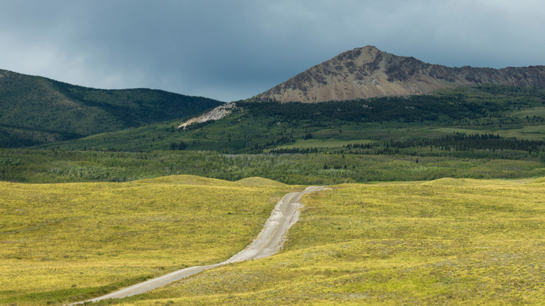 Country road through the Bison Paddock in Waterton Lakes National Park