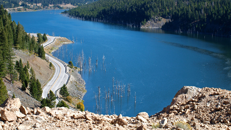 View of Earthquake Lake and its half-submerged trees from an outlook at the visitor center