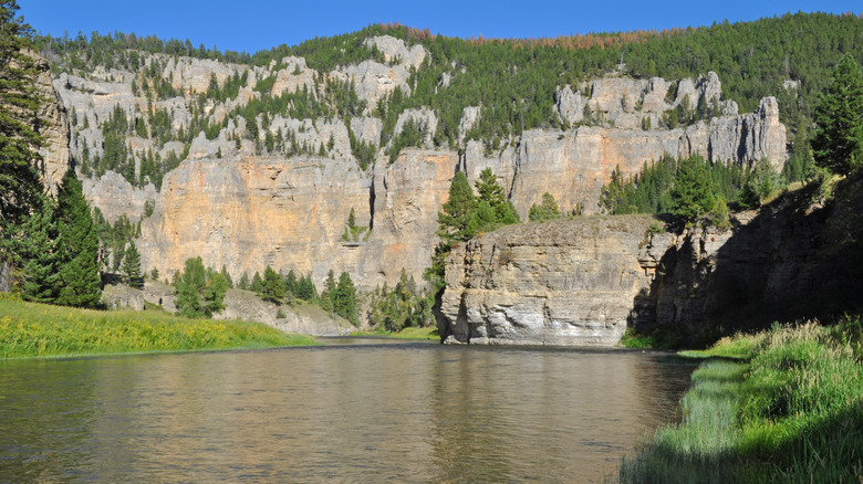 Tall cliffs dotted with pines at Smith River State Park