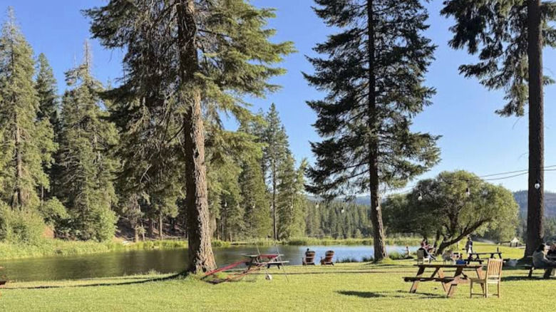 A green lawn and pond at Greenhorn Ranch