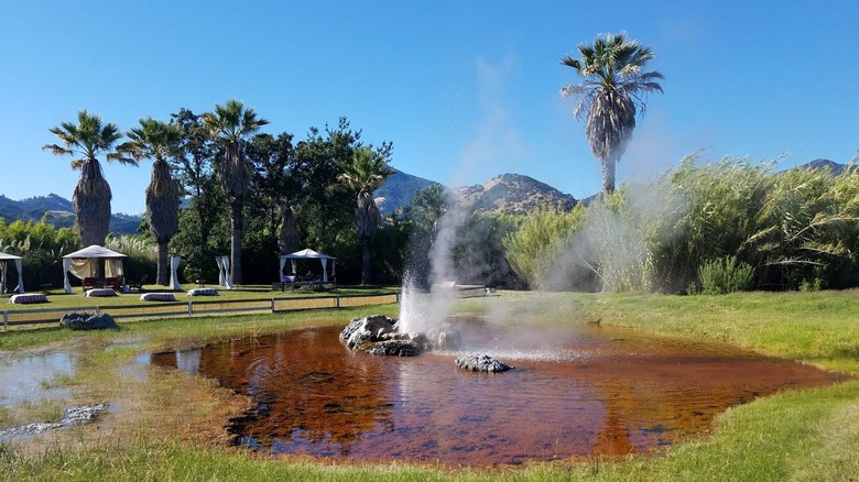 View of a small eruption of Old Faithful Geyser of California