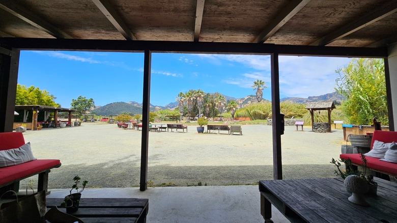 Lounge areas looking out at an outdoor seating area at Old Faithful Geyser of California