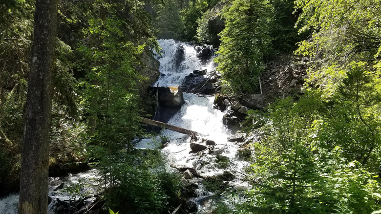 Lost Creek Falls in Lost Creek State Park in Anaconda, Montana