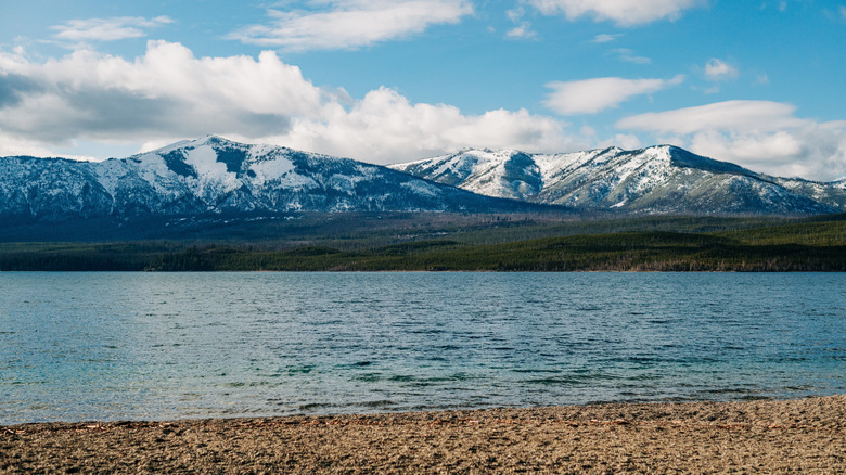 A beach on Lake McDonald in Montana