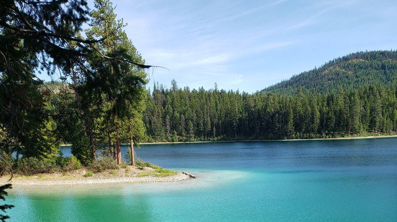 A shot of the trees, shoreline, and aquamarine waters of Horseshoe Lake, Montana