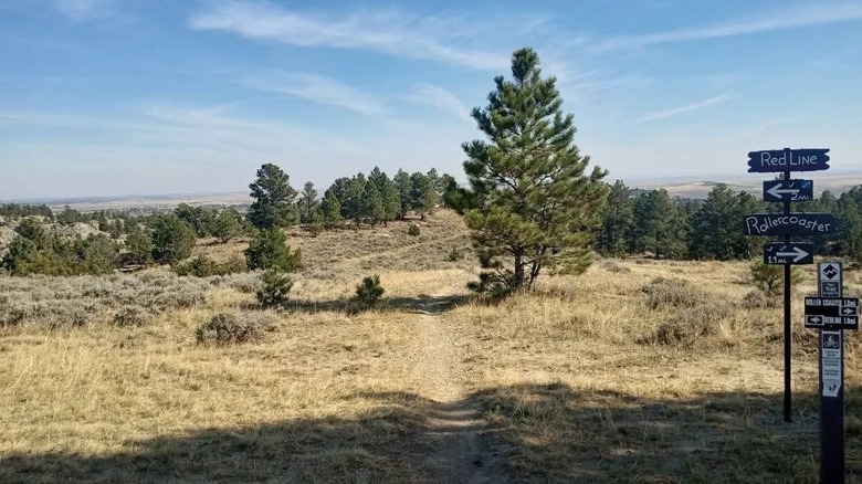 Trail in Acton Recreation Area in Montana, with signs for the Redline and Rollercoaster Trails