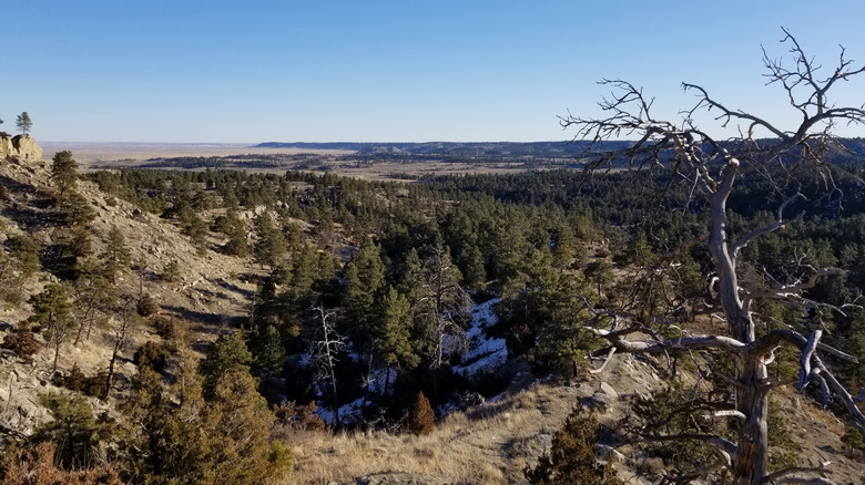 View inside Acton Recreation Area in Montana