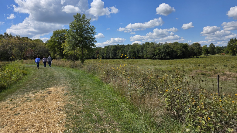 Trail through tallgrass prairie at LC Nature Park in Indiana