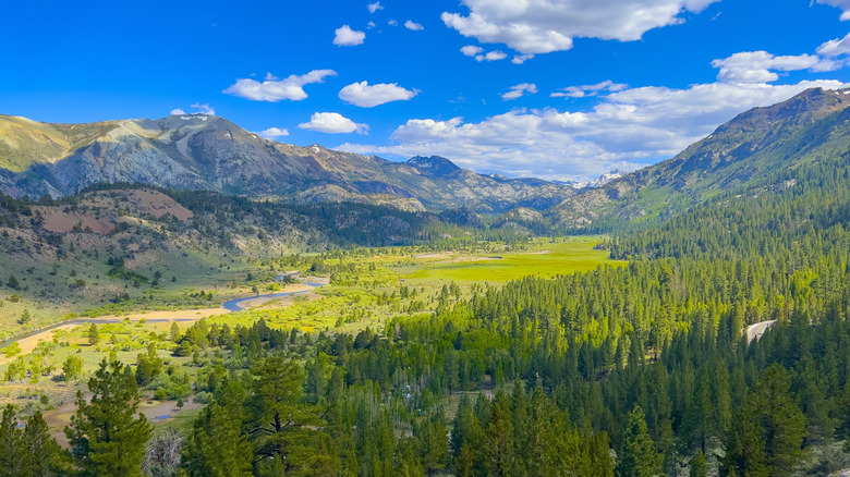 The Leavitt Meadows area as seen from California's Sonora Pass