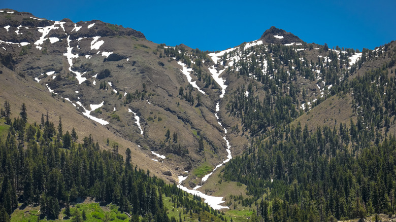 Snow on the sides of Leavitt Peak in spring