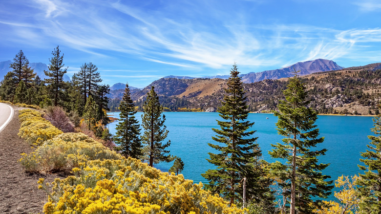 The bright blue water of June Lake surrounded by trees and mountains