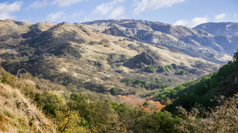 Morning view of valley in Sunol Regional Wilderness near San Francisco, California