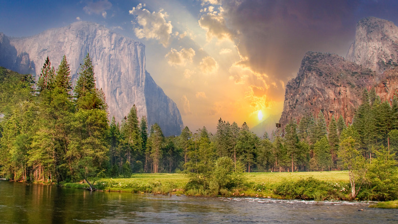 The sun blazes through the middle of the Yosemite Valley