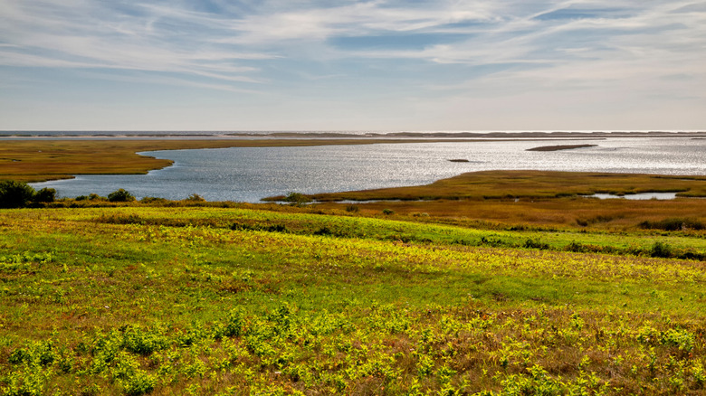 Nauset Marsh views from Fort Hill Trail in Cape Cod