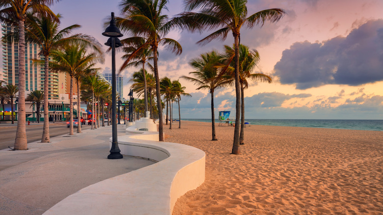 Beachfront promenade with coconut palms at sunset in Fort Lauderdale.