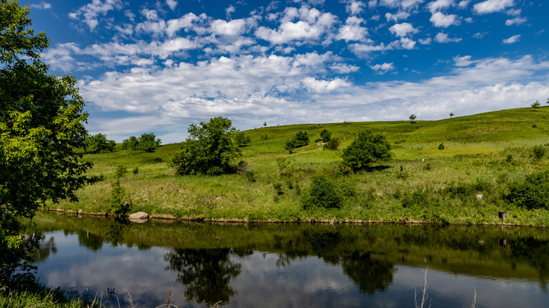 A shallow green hill in Fort Ransom State Park with trees and calm water at its base