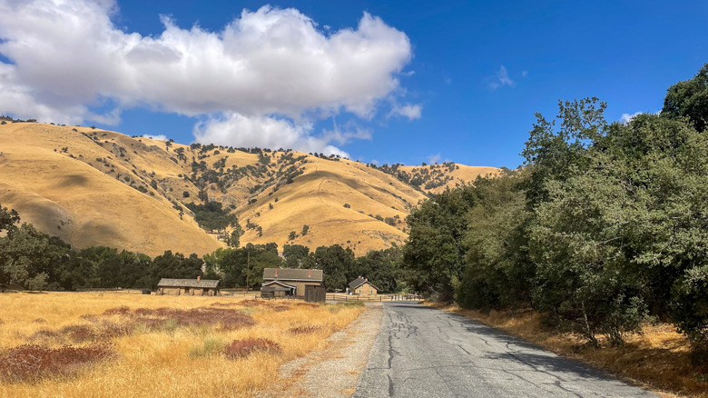 A country road leads towards the reconstructed buildings and golden hills at Fort Tejon State Historic Park.