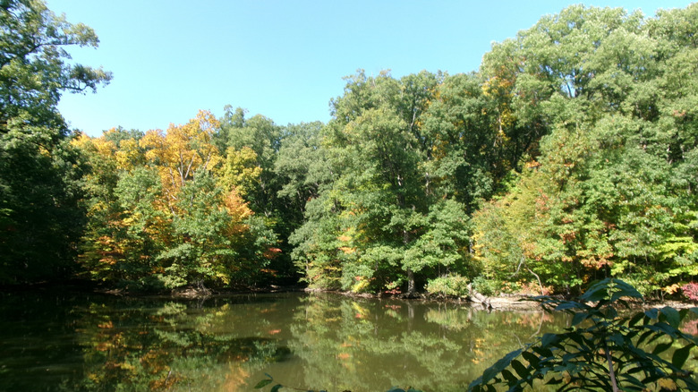 Lindenwood Nature Preserve near Fort Wayne, IN