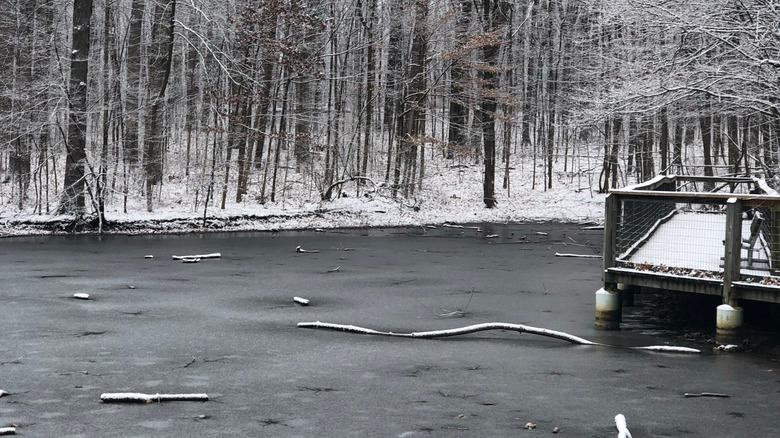 Winter at Lindenwood Nature Preserve in Fort Wayne, IN