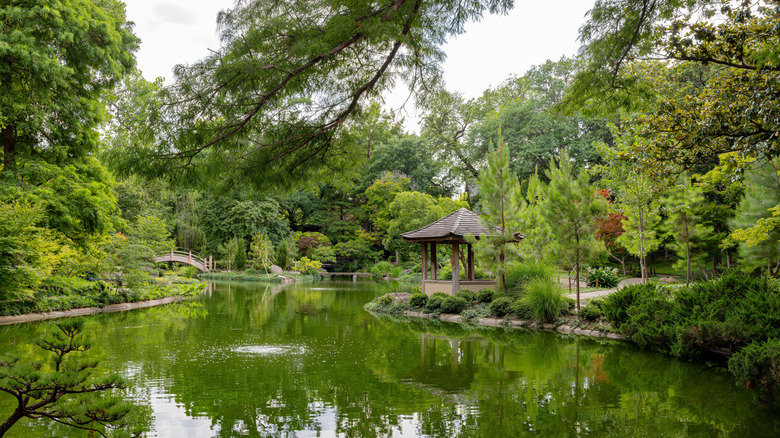 View of the Japanese Garden in the Fort Worth Botanic Garden
