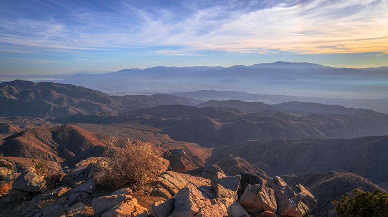 Joshua Tree National Park views