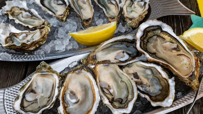 Oysters from Arcachon Bay, France served with lemon