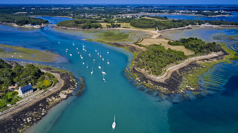 An overhead shot of the Gulf of Morbihan