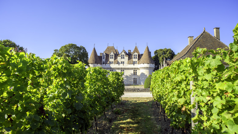 Château de Monbazillac seen through grape vines