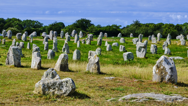 Rows of stones in Carnac, France