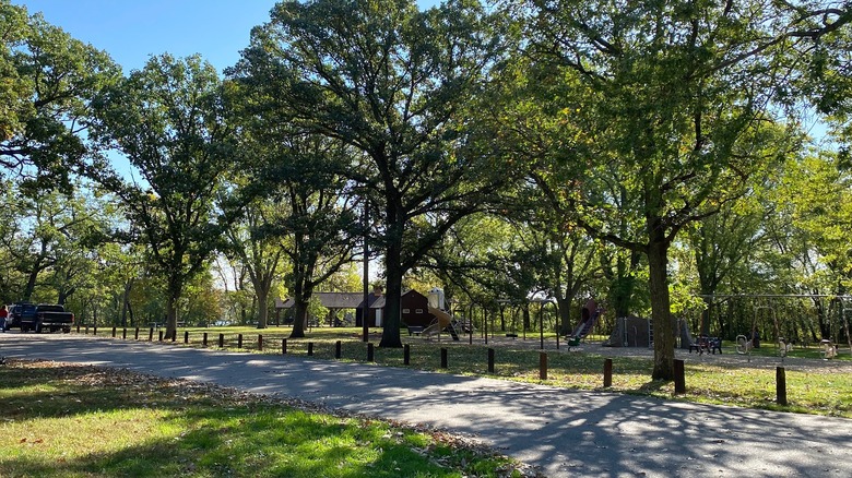 Tall trees line the road in the park with a playground nearby