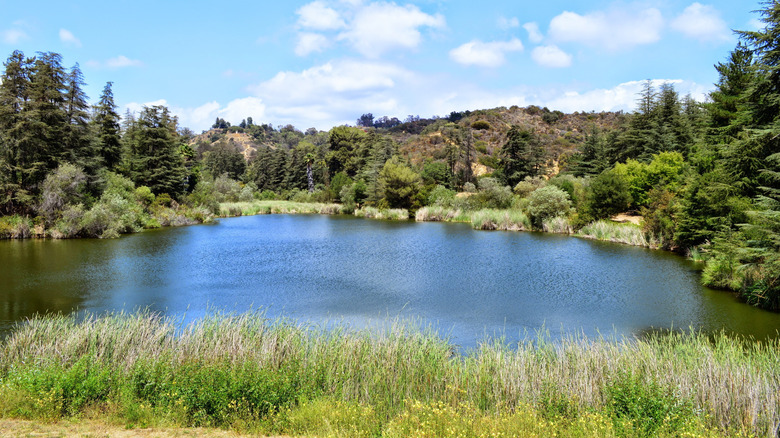 Reservoir at Franklin Canyon Park in Beverly Hills