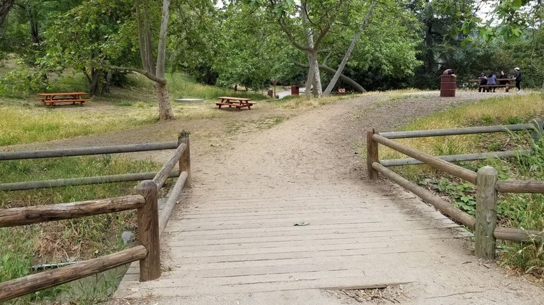 Tree-shaded picnic tables at Franklin Canyon Park in Beverly Hills