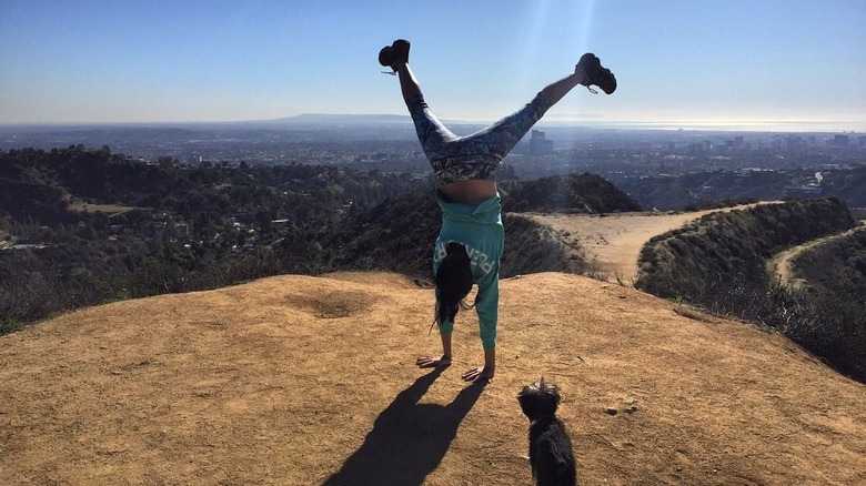 A view from the top of Hastain Trail in Franklin Canyon Park in Beverly Hills