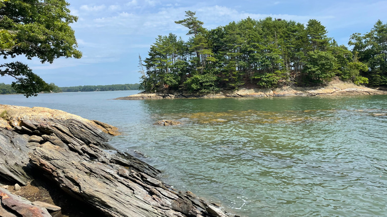 A rocky beach with an island in the background
