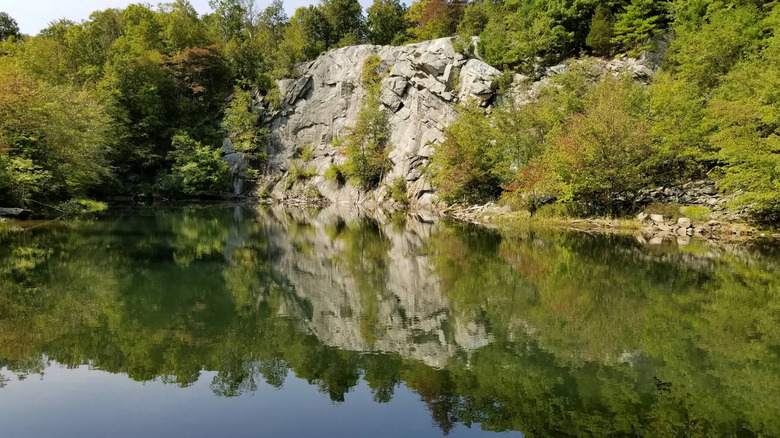 A lake surrounded by trees and a rock cliff face in Freetown-Fall River State Forest.