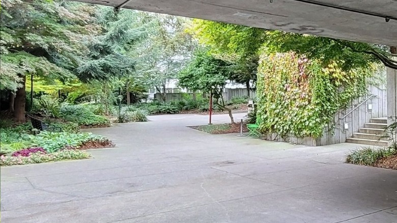 An open plaza fringed by trees and foliage just beyond an overpass at Freeway Park in Seattle, Washington