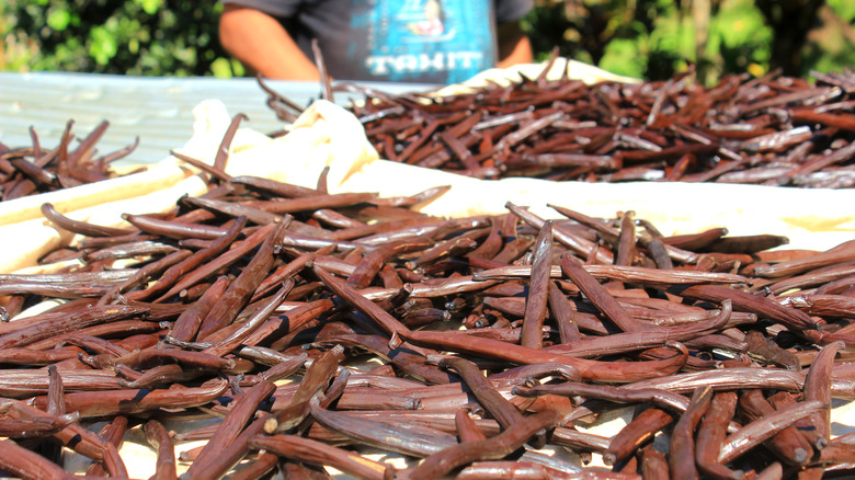vanilla production in Taha'a, French Polynesia