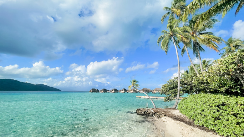 Turquoise lagoon coastline of Taha'a, French Polynesia
