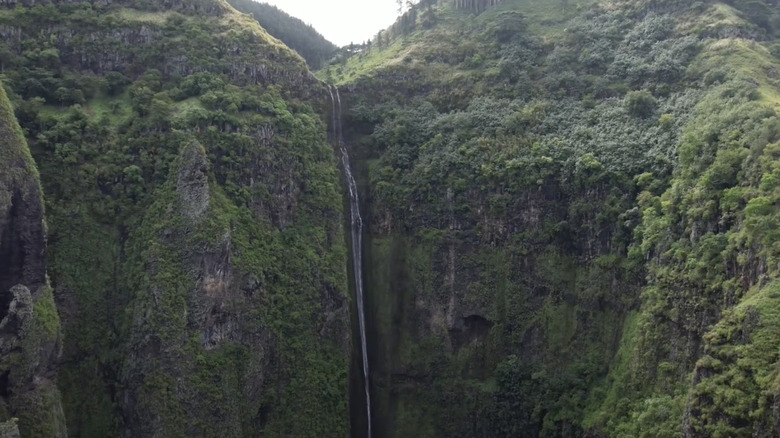 Waterfall between two lush cliffs covered in greenery.