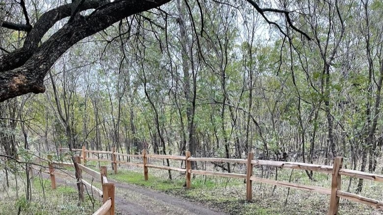 A trail winding through the existing Grand Park in Frisco, TX