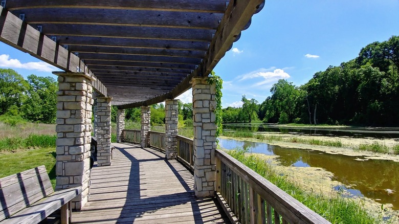 A shaded boardwalk trail overlooks at wetland at Gabis Arboretum