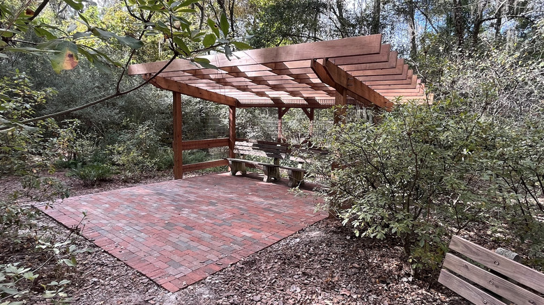 Shade structure with benches at Cofrin Nature Park in Gainesville, Florida