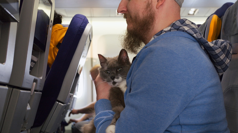 A man traveling with a cat on his lap