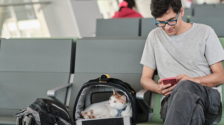A man sits next to his pet cat in an airport