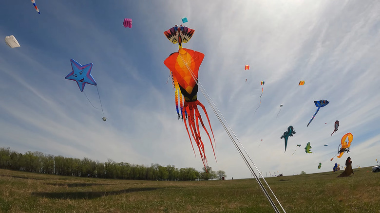 Kites flying at Garrison's Sky Fest