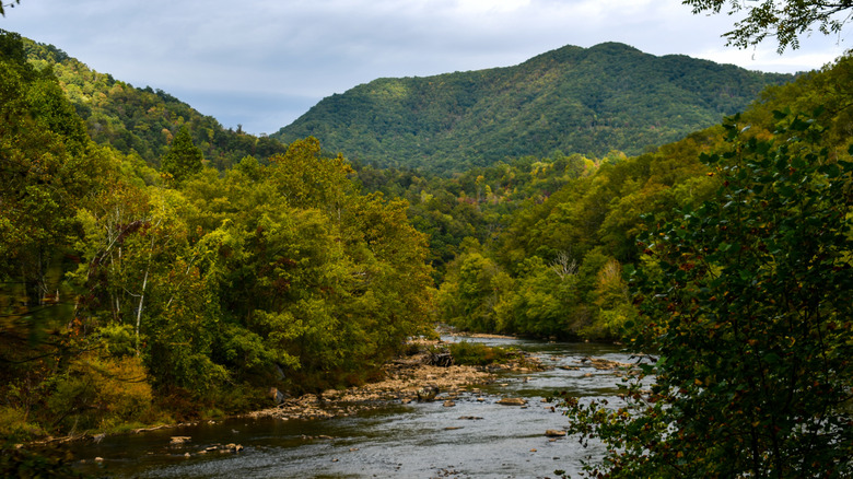 View of a river, trees, and a hill from the Smoky Mountain Railroad near Bryson