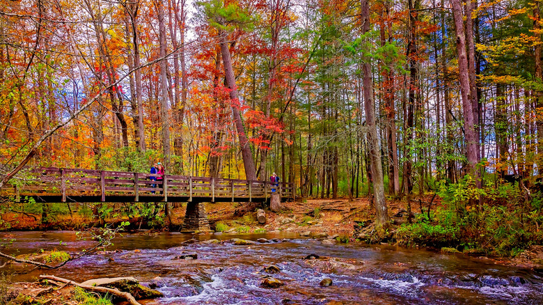 Fall foliage and a small wooden bridge over a creek at Cades Cove near Townsend