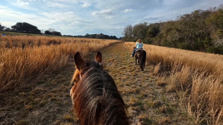 A view from a person on horseback riding on a dirt path surrounded by trees and brush while a woman on horseback rides ahead